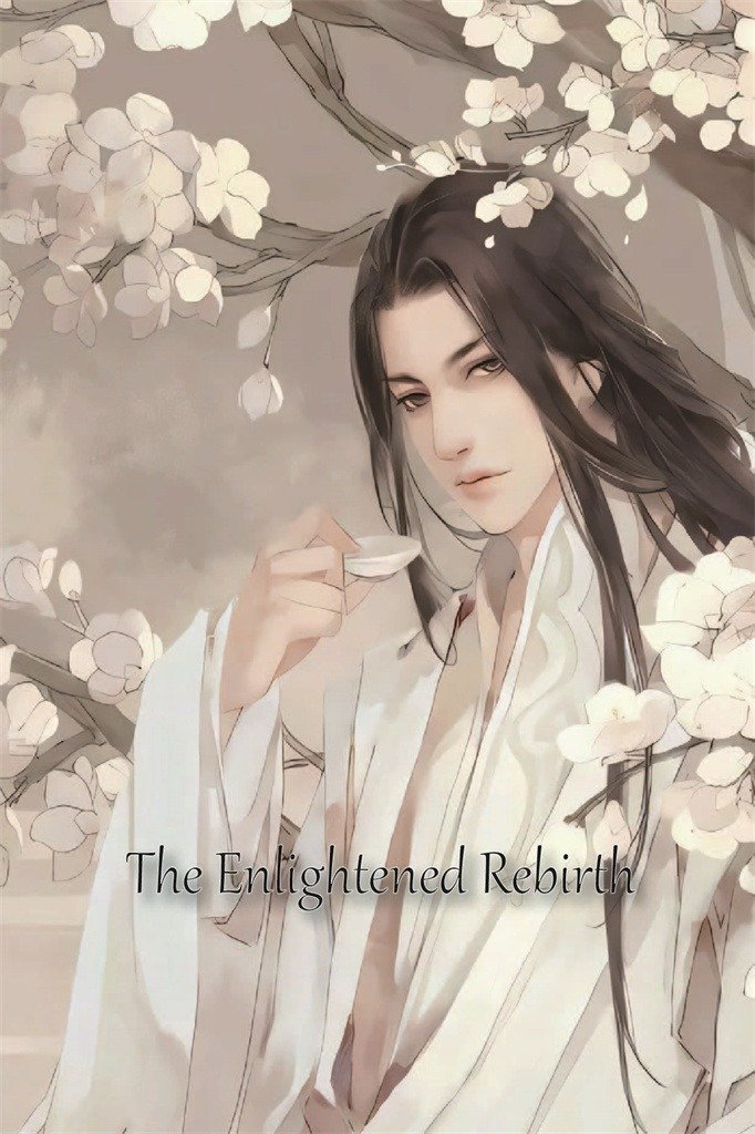 The Enlightened Rebirth novel cover image